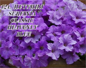 Петуния Surfinia classic heavenle blue 124